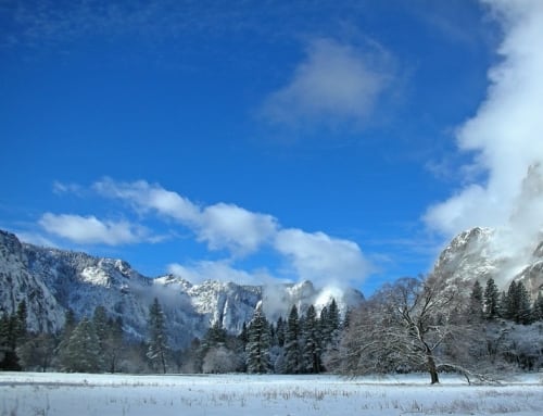 Winter im Yosemite National Park