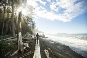 Olympic National Park, Peninsulas - Credit: Jordan Siemens Stone via Getty Images