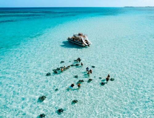 Atemberaubende Natur auf den Cayman Islands erleben