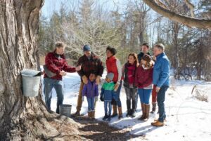 Ahornsirupernte, Credit New Hampshire Division Of Travel & Tourism