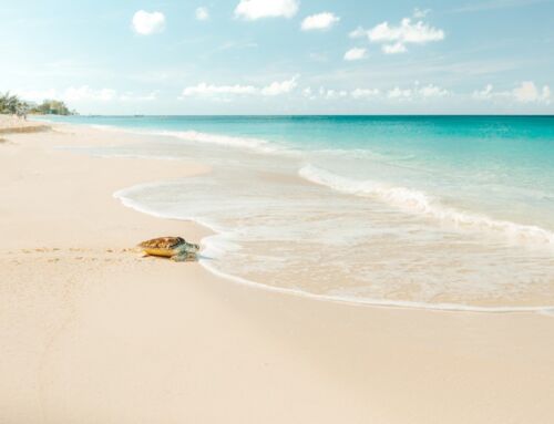 Die Top 10 Gründe, die die Cayman Islands zu Ihrem Traumziel machen