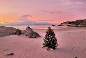 Weihnachtsbaum Am Strand Credit Tim Walsh