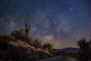 Saguara National Park_credit Visit Tucson