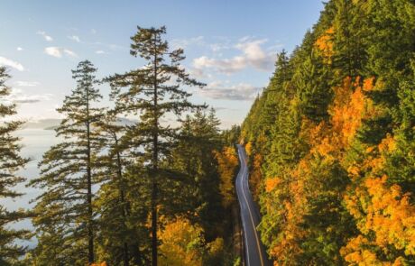 Chuckanut Drive Bellingham_Credit V