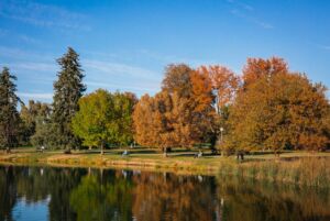 CityPark Fall Credit Tru Blu Images 048