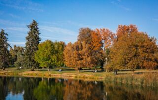 CityPark Fall Credit Tru Blu Images 048