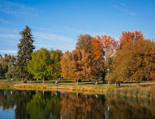 Goldener Herbst in Denver