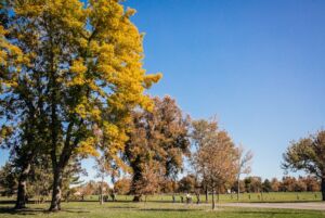 WashPark Fall Credit Tru Blu Images 040